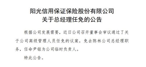 尹銘出任陽(yáng)光信保臨時(shí)負(fù)責(zé)人 曾任螞蟻副總裁