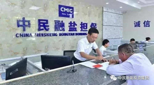 一只灘羊的信用擔(dān)保故事