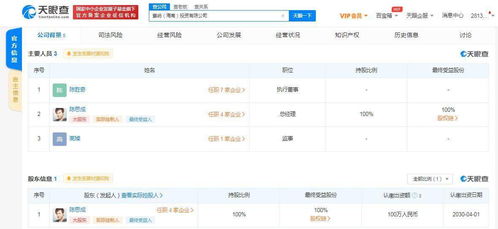 陳思成海南成立投資公司，業務涵蓋資金投資與項目策劃服務